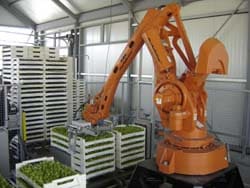 CSM_ROBOTEPLANTS5 CSM_ROBOTEPLANTS5