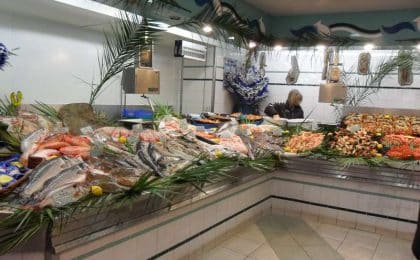 Entreprise_56_Viviers_Quiberonnais_etale-2
