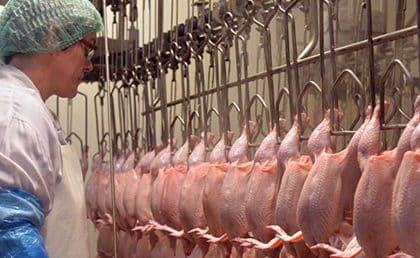 Le Groupe Le Duff choisit Galliance, le pôle Volaille du Groupe Coopératif Terrena pour approvisionner en viande de poulet ses 500 restaurants français Le Groupe Le Duff choisit Galliance, le pôle Volaille du Groupe Coopératif Terrena pour approvisionner en viande de poulet ses 500 restaurants français