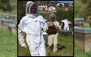 Afin de créer une ferme apicole en centre Bretagne, Roland Aufret a déposé son projet sur Bulb in Bretagne,