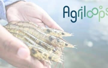agriloops_3 agriloops_3