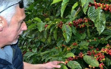 Thierry Reux travaille avec des petits producteurs d’Amérique centrale et d’Afrique pour élaborer ses meilleurs crus Thierry Reux travaille avec des petits producteurs d'Amérique centrale et d'Afrique pour élaborer ses meilleurs crus