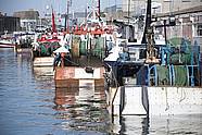 keroman_lorient keroman_lorient