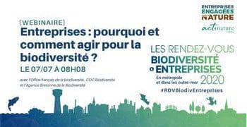 Entreprises : pourquoi et comment agir pour la biodiversité ?