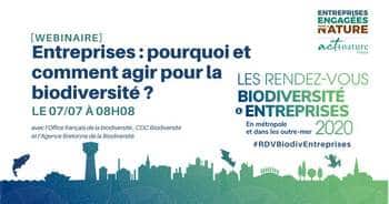 Entreprises : pourquoi et comment agir pour la biodiversité ?