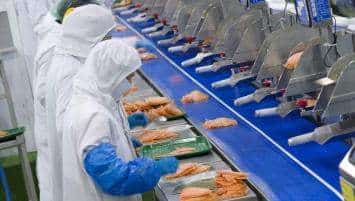 Les auteurs de l’étude, l’Insee et la Dares, soulignent une nouvelle fois qu’avec 40,1% des emplois bretons, contre 18,6 % au niveau national, l’agroalimentaire porte l’industrie régionale. Les auteurs de l’étude, l’Insee et la Dares, soulignent une nouvelle fois qu’avec 40,1% des emplois bretons, contre 18,6 % au niveau national, l’agroalimentaire porte l’industrie régionale.