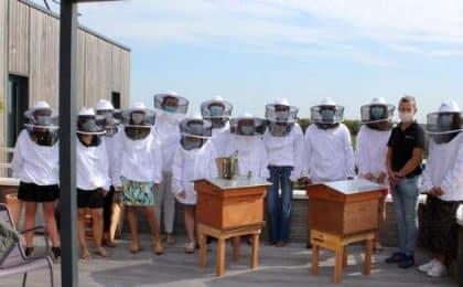 Beecity a installé deux ruches sur la terrasse de Net Plus à Rennes
