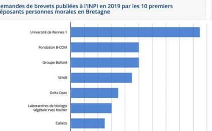 En 2019, la région Bretagne comptabilise 244 demandes de brevets publiées à l’INPI (Institut national de la propriété industrielle), soit 1,6 % des demandes publiées par des déposants ayant une adresse en France.