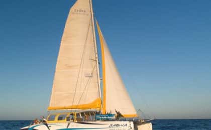 La compagnie maritime Iliens vient d'acquérir son catamaran