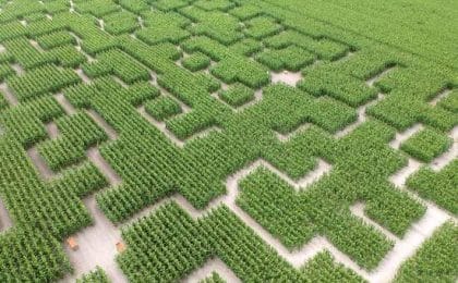 Les labyrinthes, sont agrémentés d’étapes ludiques et de jeux géants en bois adaptés à tous Les labyrinthes, sont agrémentés d’étapes ludiques et de jeux géants en bois adaptés à tous