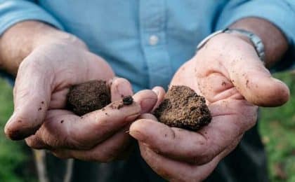 Gaïago est une société bretonne créée en 2014 qui fournit des solutions innovantes – basées sur l’activation sélective de la microbiologie – principalement dans les sols, mais aussi autour de la graine et sur la plante, en vue de revitaliser les agrosystèmes. Gaïago est une société bretonne créée en 2014 qui fournit des solutions innovantes - basées sur l’activation sélective de la microbiologie - principalement dans les sols, mais aussi autour de la graine et sur la plante, en vue de revitaliser les agrosystèmes.