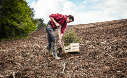 ecotree_plantation_a_pont_de_buis