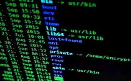cyber cyber