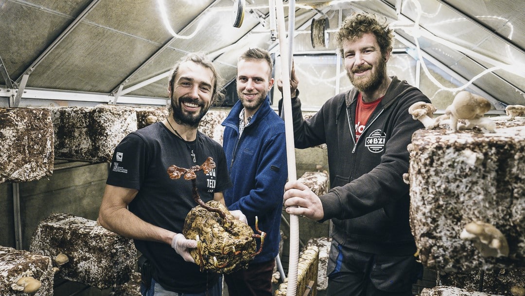 Jefferson Le Bian, Briac Le Guillou et Xavier Lambert, trois associés dans l'aventure Breizh Bell.