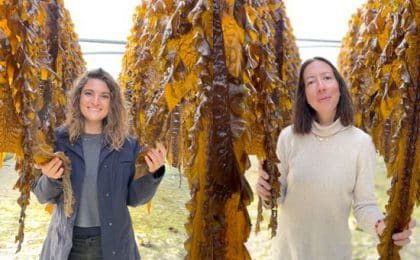 Victoire de Lapasse et Cécile Bury, les deux cofondatrices de Neptune Elements Victoire de Lapasse et Cécile Bury, les deux cofondatrices de Neptune Elements