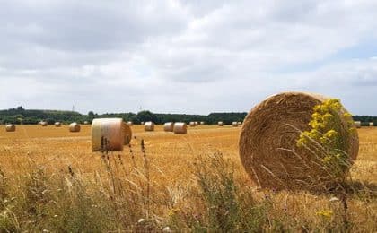 agri