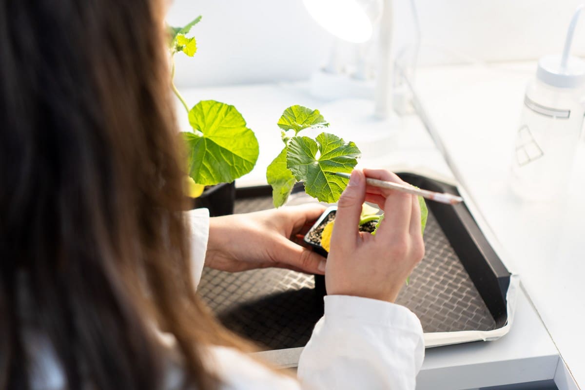 Breton agritech Agriodor raises 15 million euros